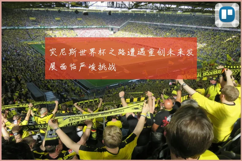 突尼斯世界杯之路遭遇重创未来发展面临严峻挑战
